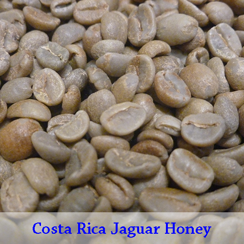 Costa Rica Jaguar Honey, Honey 1Kg